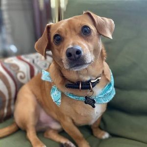 Meet your Posher, Clarissa